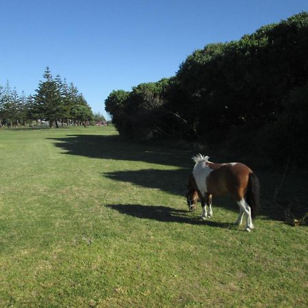 Monday Seaside Cottage Whanganui Luaran gambar