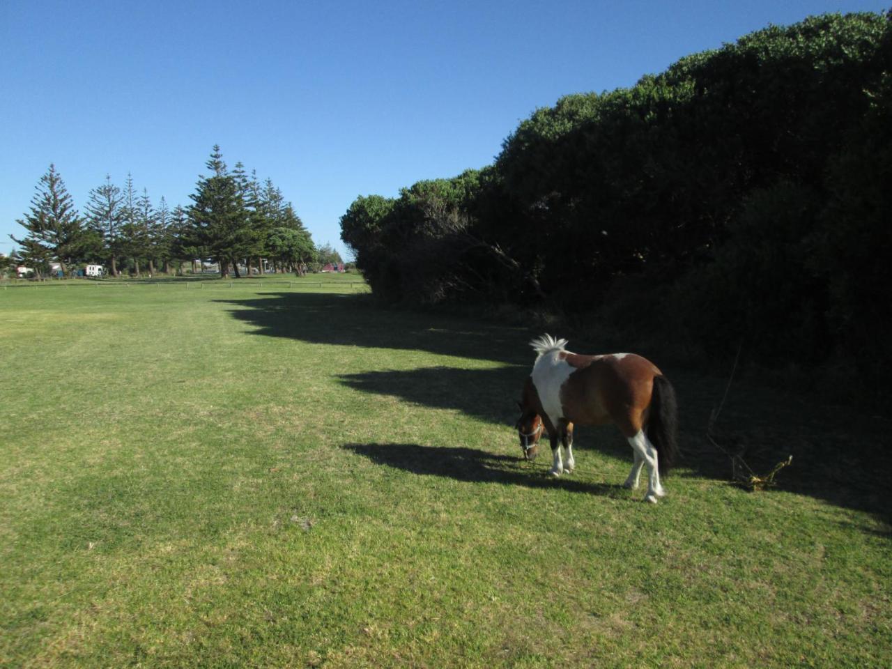 Monday Seaside Cottage Whanganui Luaran gambar